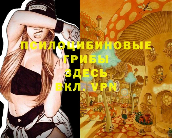 apvp Покров