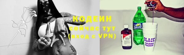 эйфоретик Покачи