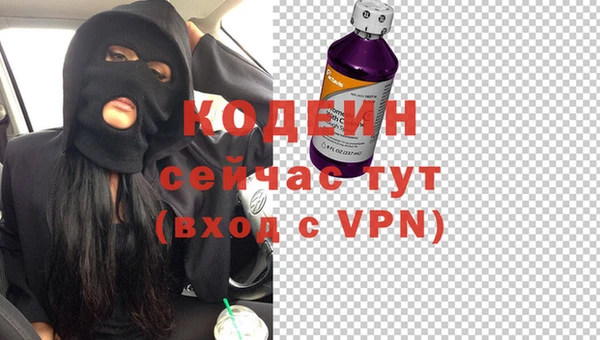 эйфоретик Покачи