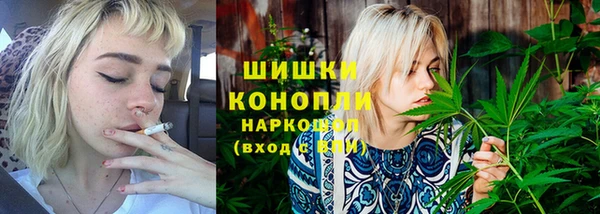 ПСИЛОЦИБИНОВЫЕ ГРИБЫ Бородино