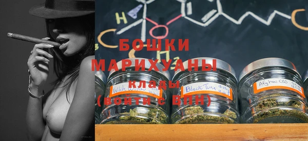 ПСИЛОЦИБИНОВЫЕ ГРИБЫ Бородино