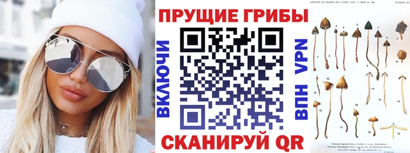 Галлюциногенные грибы Cubensis  Брянск 