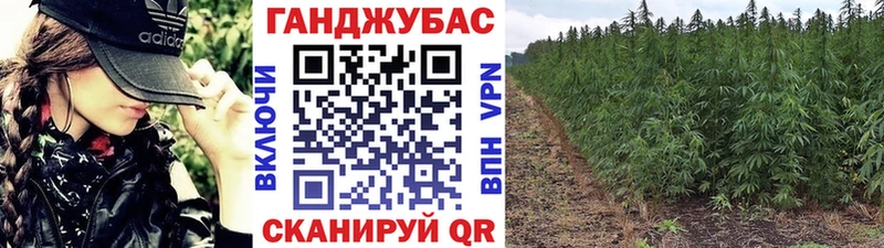 цена   Брянск  Бошки марихуана тримм 
